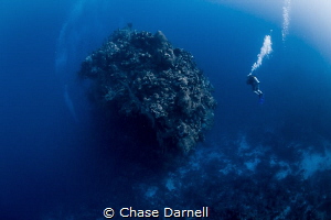 "The Mountain"
A diver over looks the prestigious dive s... by Chase Darnell 